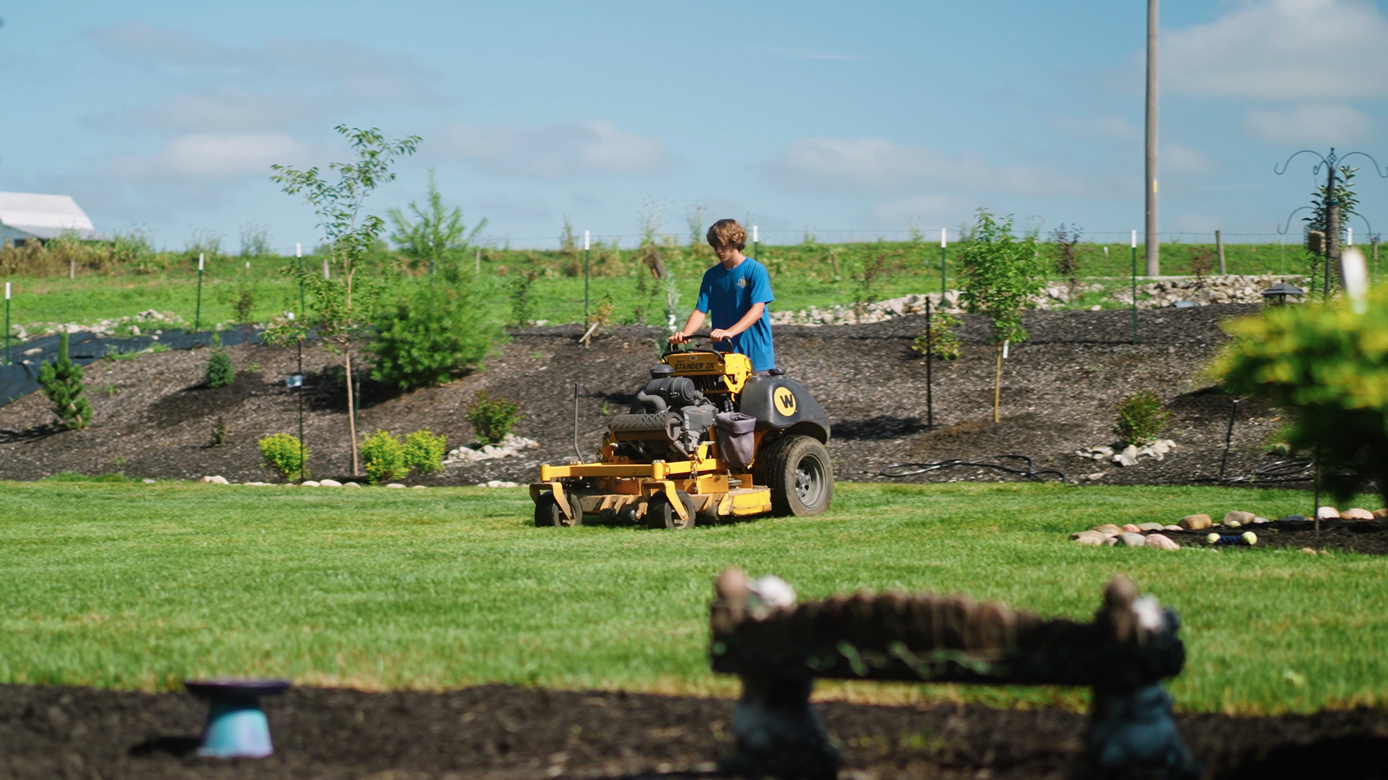 Lawn Mowing Service Savannah