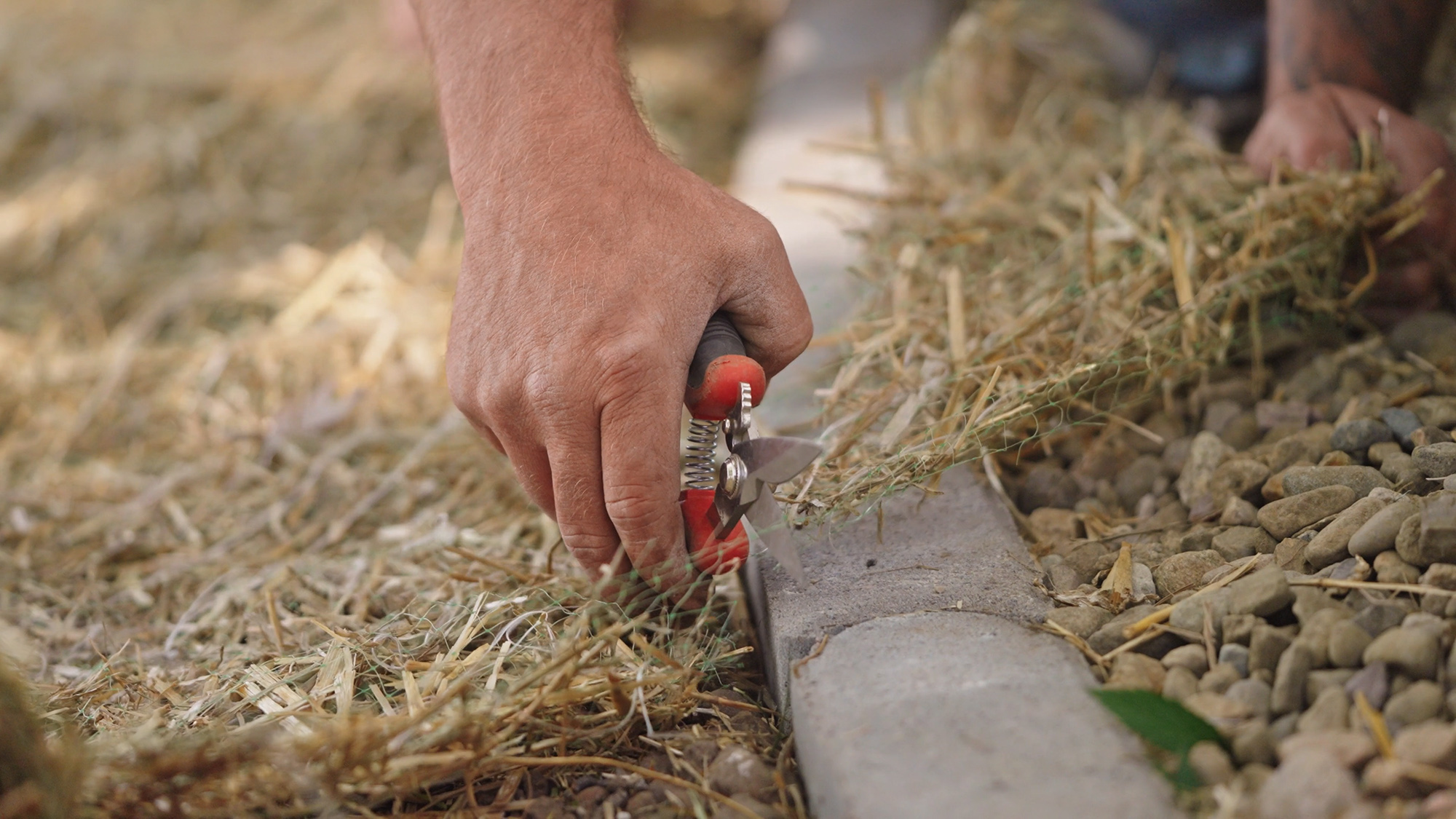 Tree Pruning Service Platte City, MO